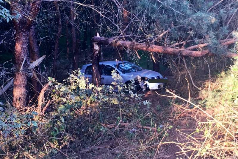 Auto vliegt van de weg belandt in bosschage