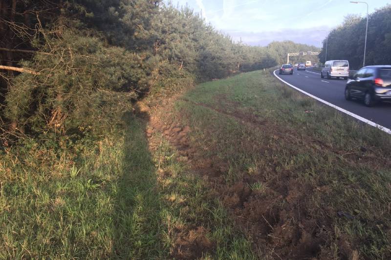 Auto vliegt van de weg belandt in bosschage