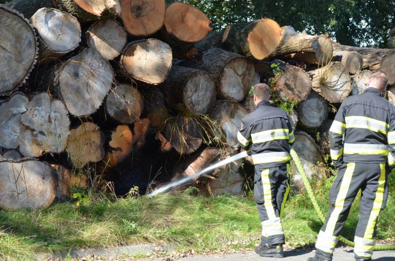 Berg met boomstammen in brand