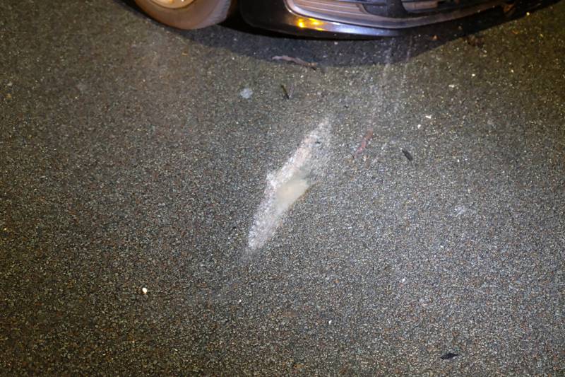 Ravage na zwaar ongeval op Schenkviaduct