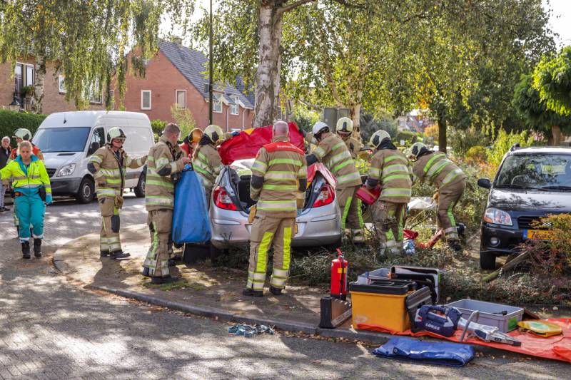 Automobiliste crasht tegen boom, brandweer knipt dak eraf