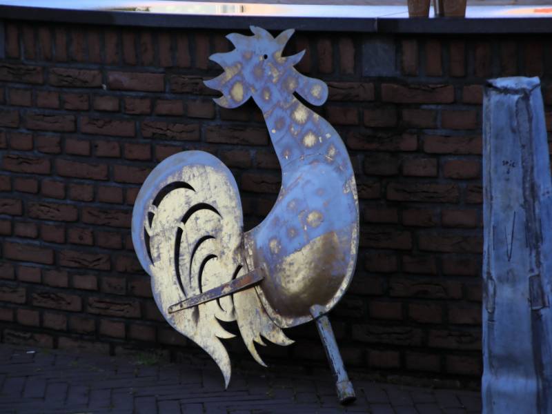 Barneveldse haan van Oude Kerktoren gehaald