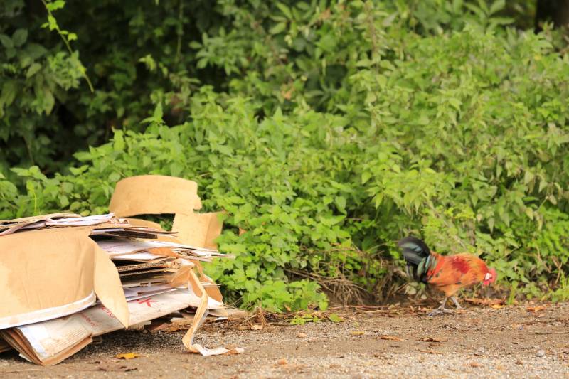 Trekkerbanden en sloopafval gedumpt op carpoolplaats