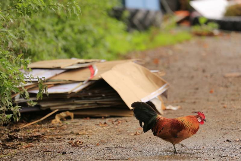 Trekkerbanden en sloopafval gedumpt op carpoolplaats