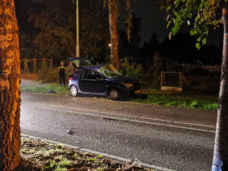 Gewonden na eenzijdig ongeval tegen boom