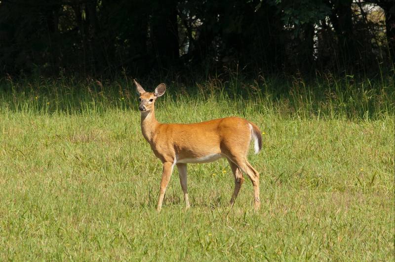 Middenweg 112 meldingen Huizen 