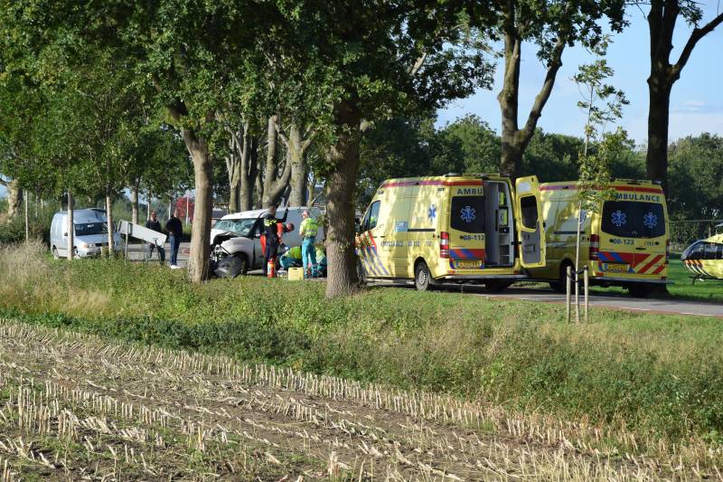 Bestuurder bestelbus overleden bij ongeval tegen boom