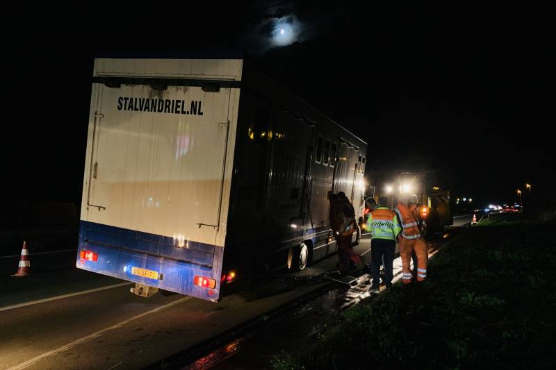 Vrachtwagen met 12 paarden dreigde om te vallen na klapband