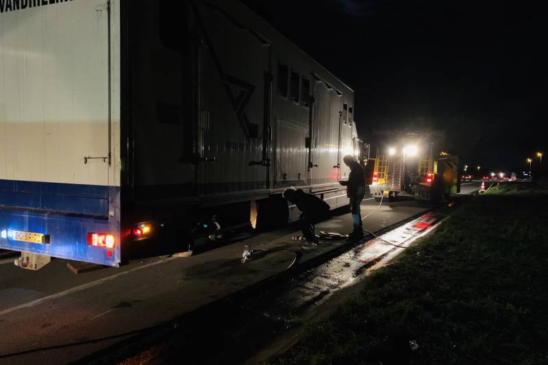 Vrachtwagen met 12 paarden dreigde om te vallen na klapband