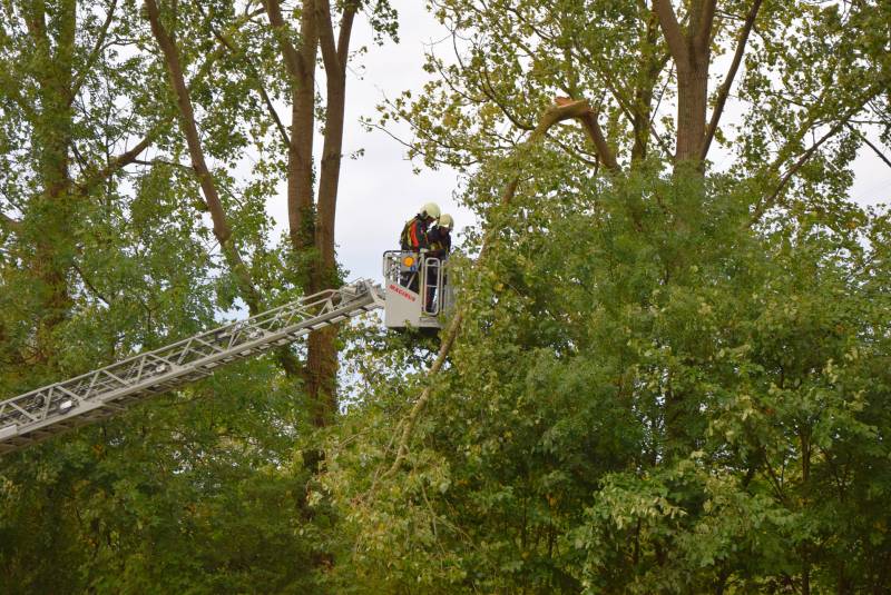Grote loshangende tak zorgt voor gevaarlijke situatie