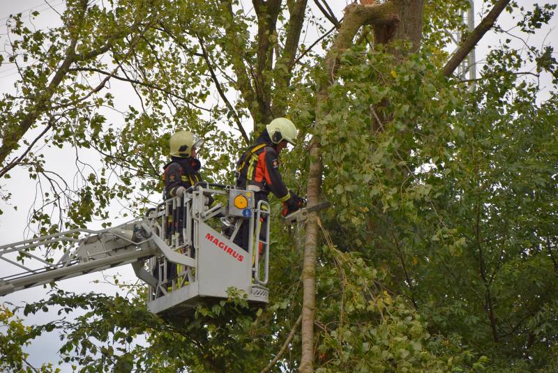 Grote loshangende tak zorgt voor gevaarlijke situatie