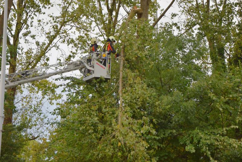 Grote loshangende tak zorgt voor gevaarlijke situatie