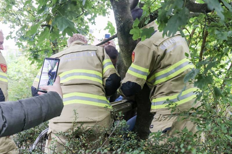 Jongen vast met been in boom