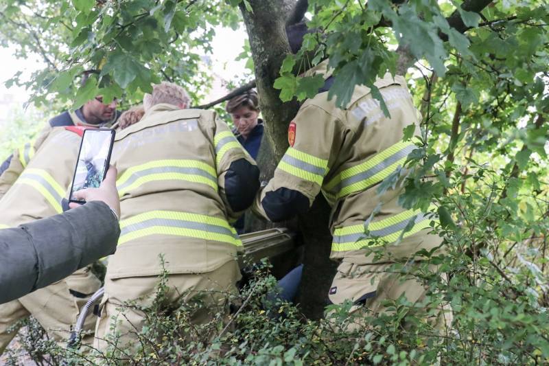 Jongen vast met been in boom