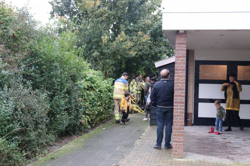 Jongen vast met been in boom