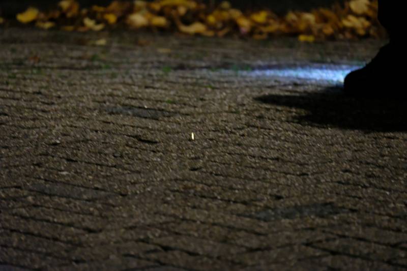 Gewonden mannen schietpartij aangehouden