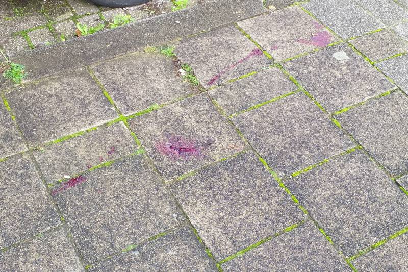 Man zwaargewond bij steekpartij na woningoverval in Hoogvliet