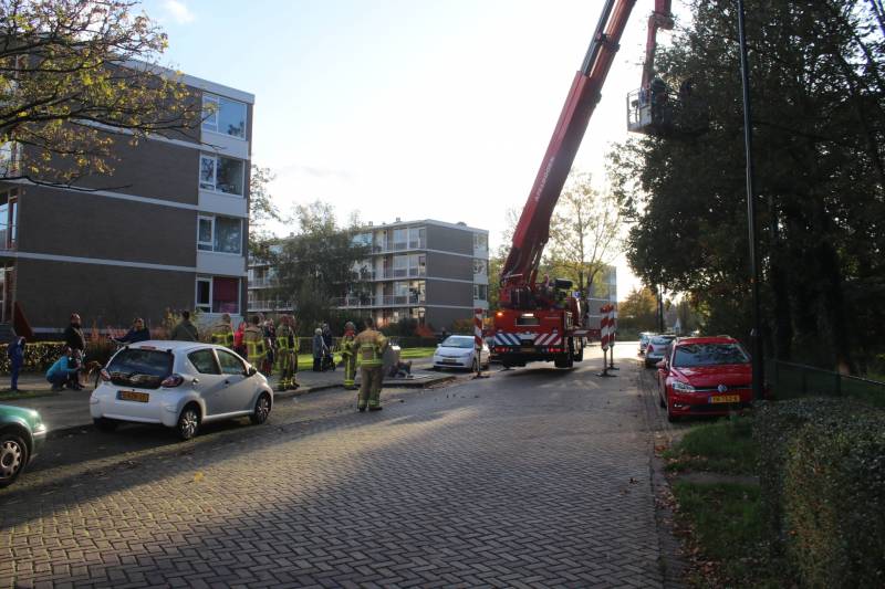 Brandweer redt papegaai met hoogwerker