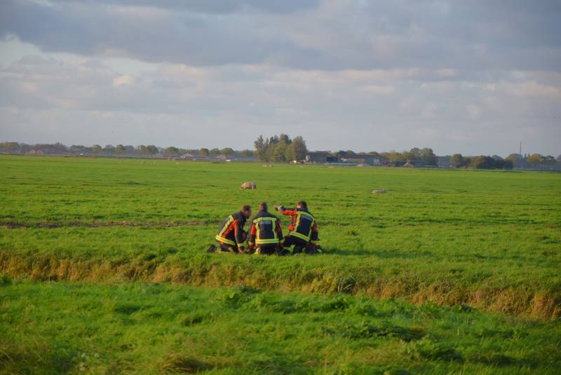 Hulpdiensten redden persoon uit water