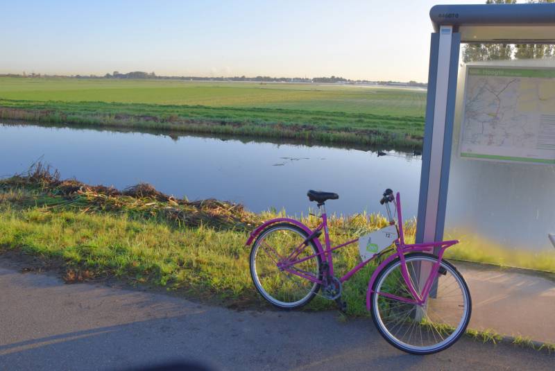 Flinke zoekactie naar mogelijke persoon te water