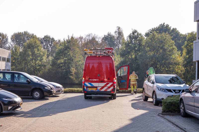 Gewonde zwaan laat zich niet vangen