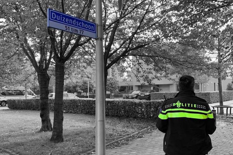 Mercedes-autoportieren gestolen vanaf parkeerplaats in Walburg