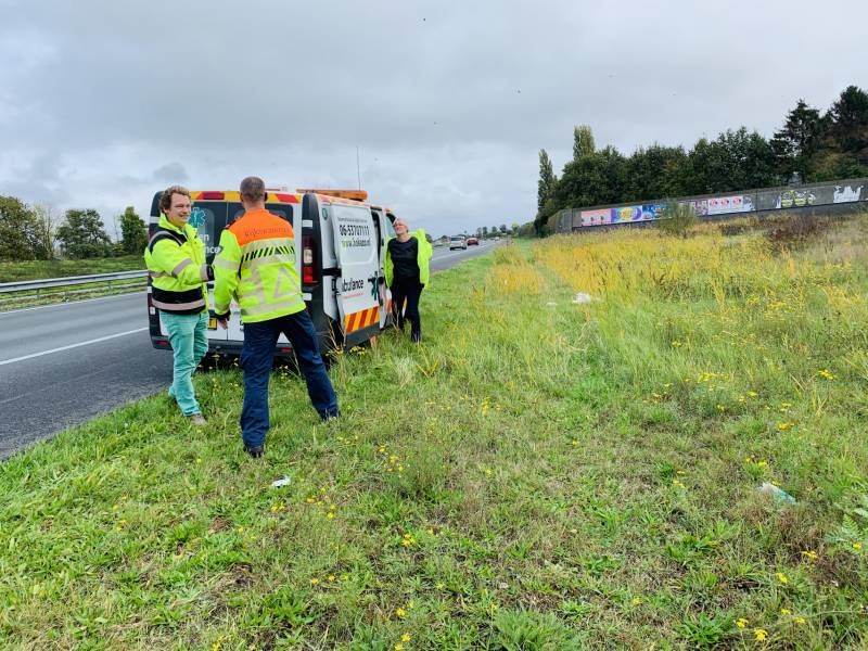 Zwaan dood na aanrijding op snelweg