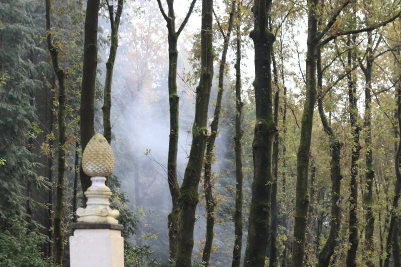 Veel rook bij flinke brand in houtbedrijf