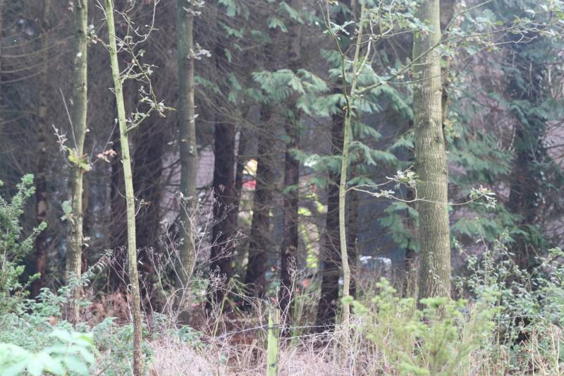 Veel rook bij flinke brand in houtbedrijf