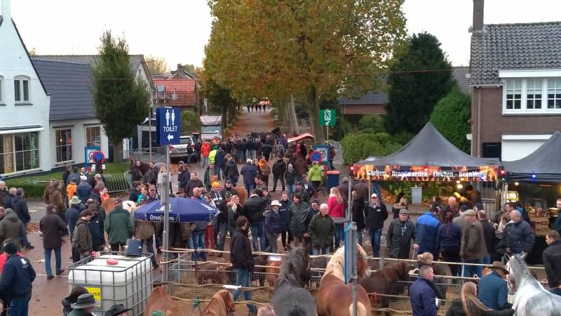 300e paardenmarkt