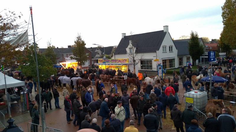 300e paardenmarkt