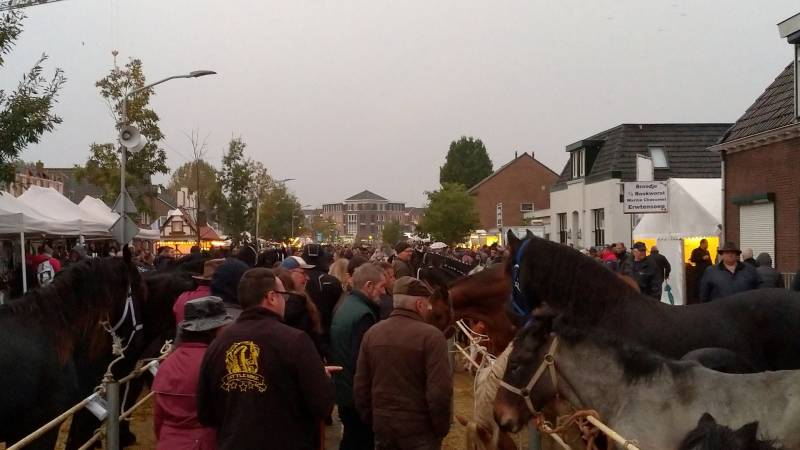 300e paardenmarkt