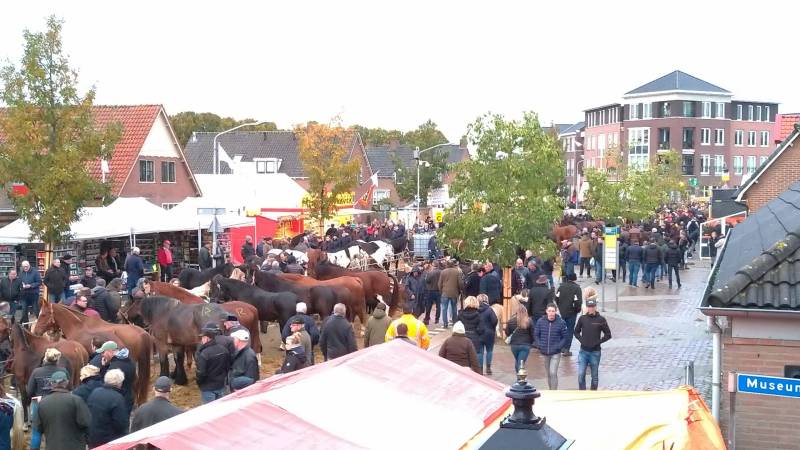 300e paardenmarkt
