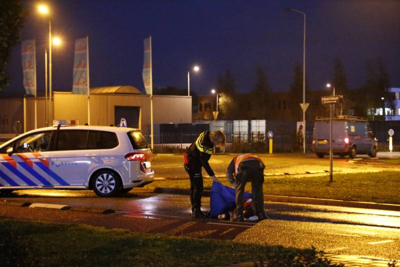 Overstekende fietser aangereden op rotonde