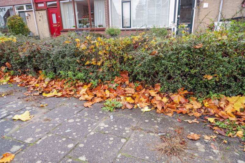 Explosie in voortuin woning door zwaar vuurwerk, twee mannen aangehouden