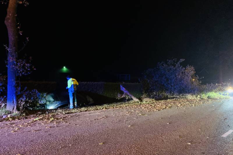 Auto ramt meerdere bomen en belandt in sloot