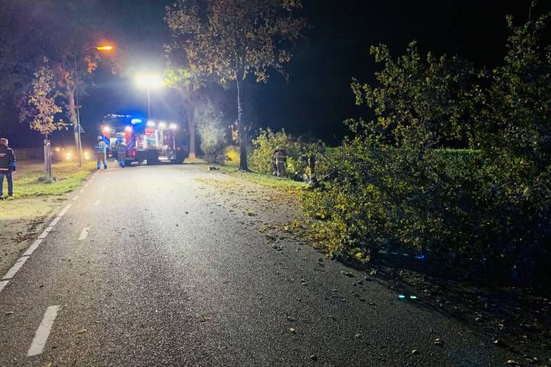 Auto ramt meerdere bomen en belandt in sloot