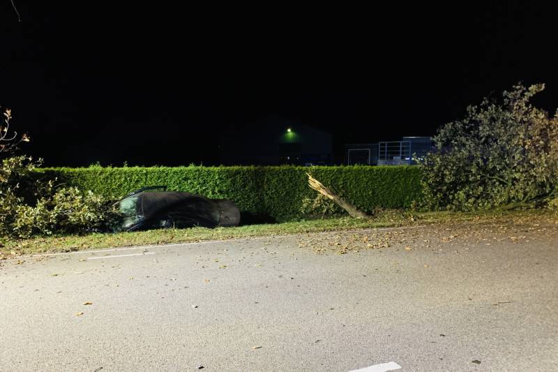 Auto ramt meerdere bomen en belandt in sloot