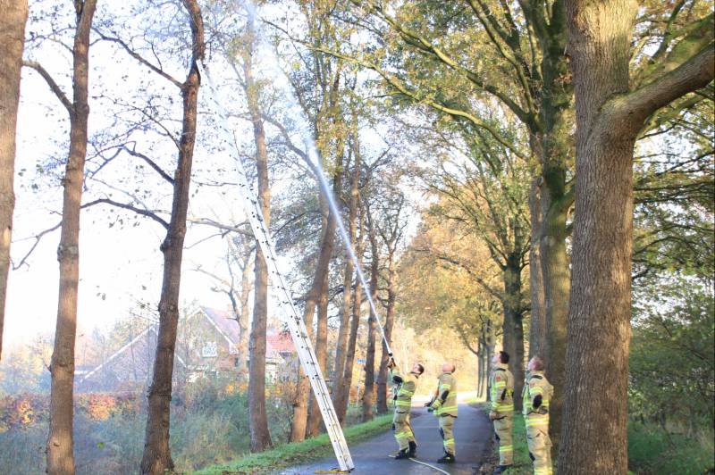 Brandweer spuit kat 'Jochie' uit de boom