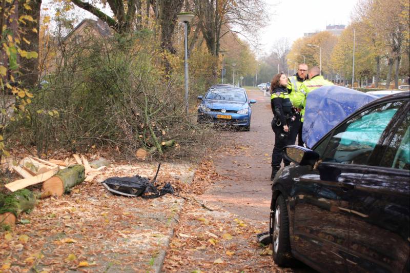 Auto knalt op boom