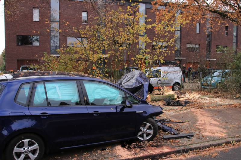 Auto knalt op boom