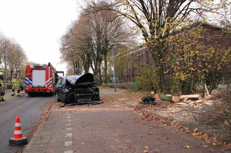 Auto knalt op boom
