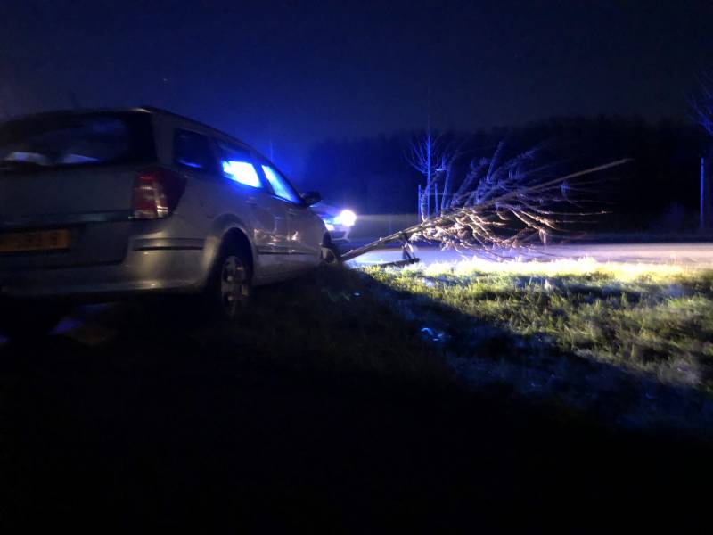 Auto vliegt uit bocht en rijdt tegen twee bomen