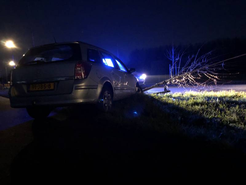 Auto vliegt uit bocht en rijdt tegen twee bomen