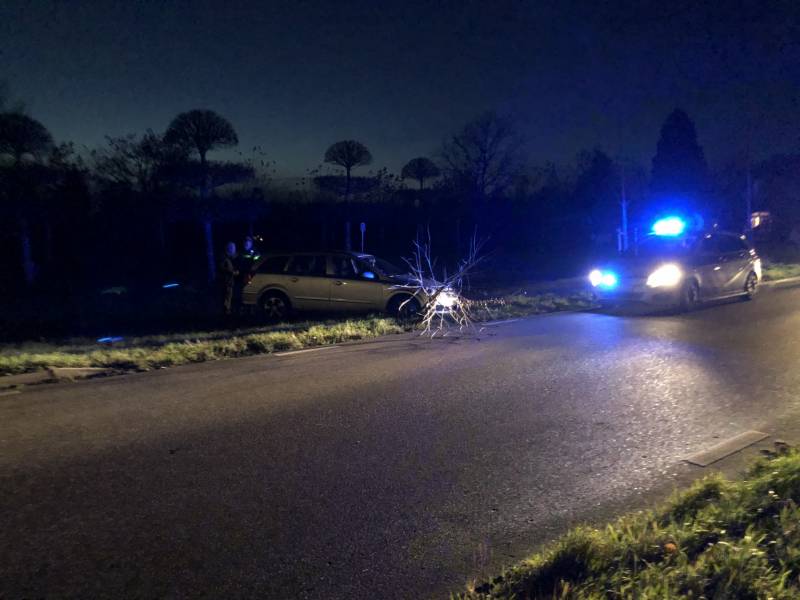 Auto vliegt uit bocht en rijdt tegen twee bomen