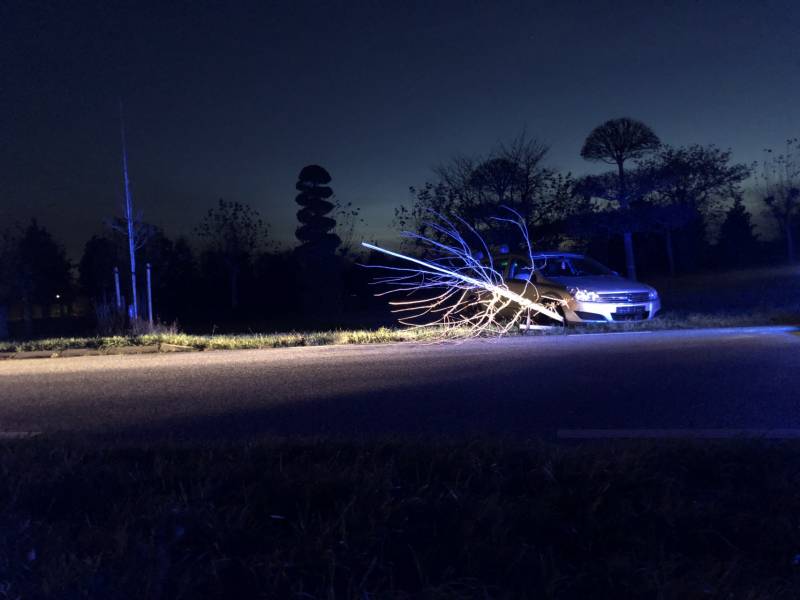 Auto vliegt uit bocht en rijdt tegen twee bomen