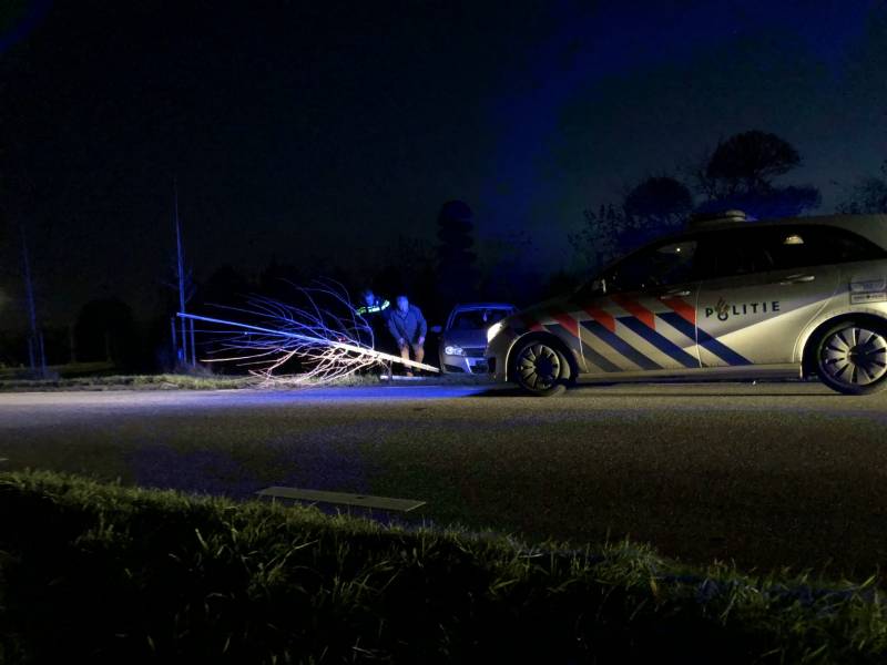 Auto vliegt uit bocht en rijdt tegen twee bomen