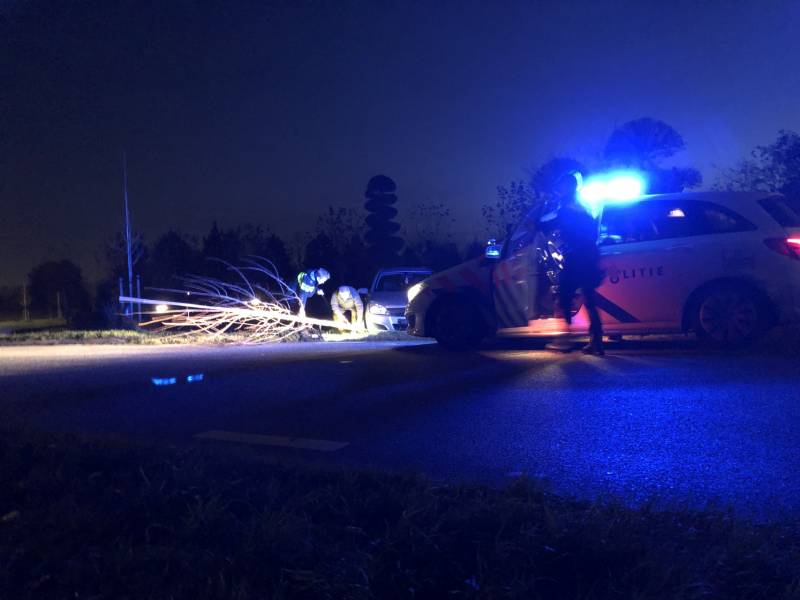 Auto vliegt uit bocht en rijdt tegen twee bomen