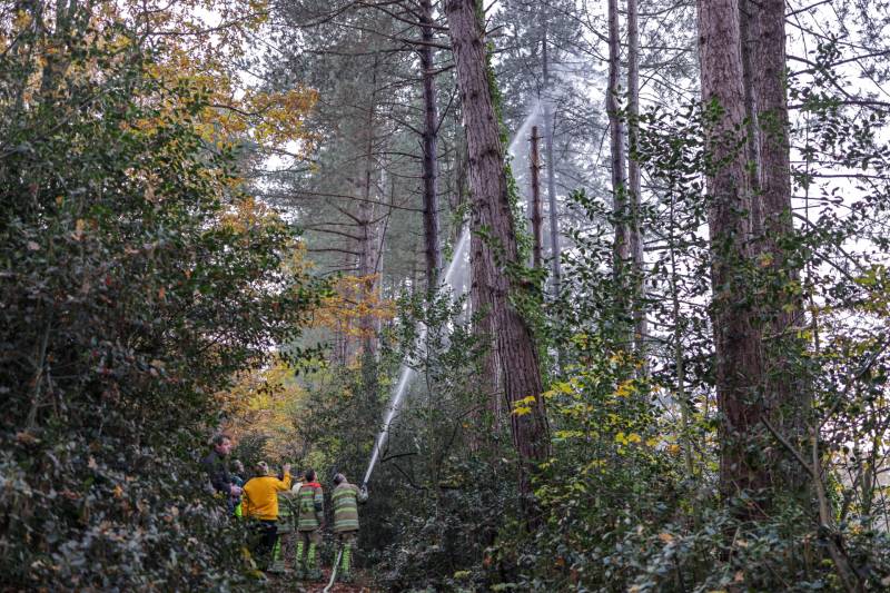 Kat Joep (4) geeft niet op