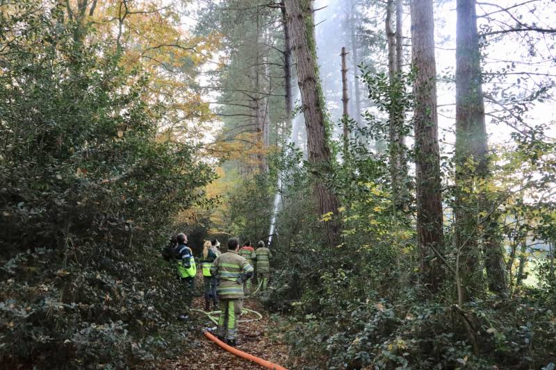 Kat Joep (4) geeft niet op